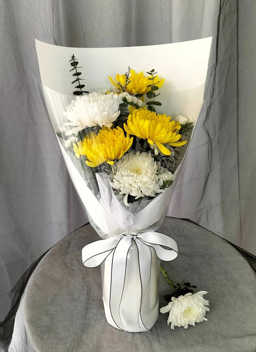 Chrysanthemum